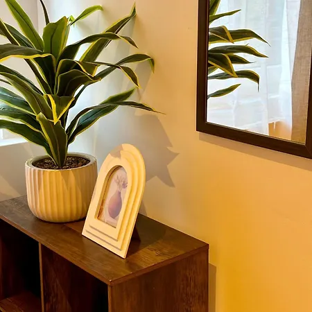 Le Petit Hainaut, Hyper Centre *