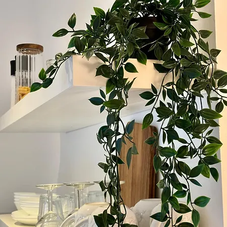 Le Petit Hainaut, Hyper Centre * 瓦朗西纳