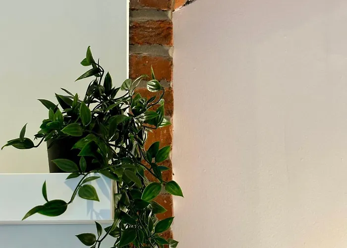 Le Petit Hainaut, Hyper Centre